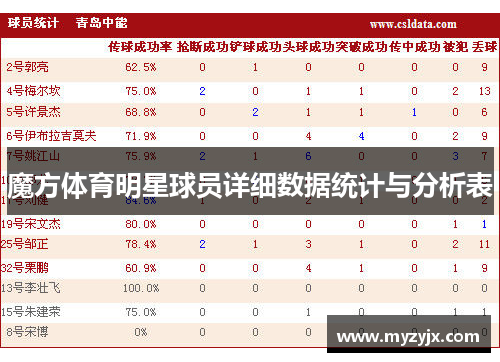 魔方体育明星球员详细数据统计与分析表